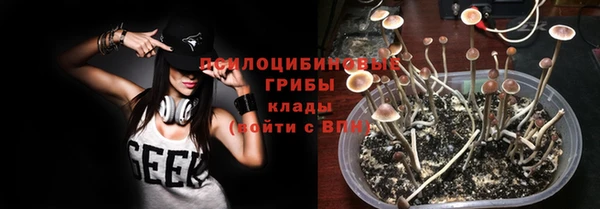 амф Белоозёрский