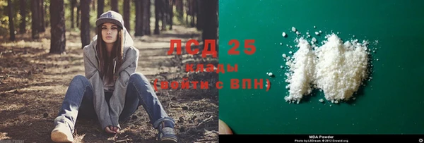 шишки Белокуриха