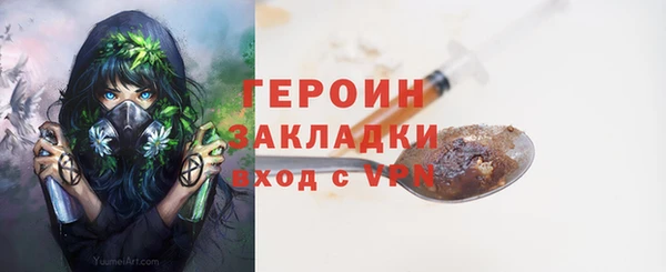 шишки Белокуриха