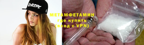 шишки Белокуриха