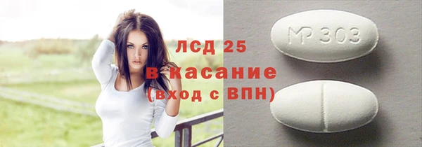 шишки Белокуриха
