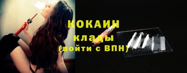 шишки Белокуриха