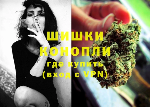 шишки Белокуриха