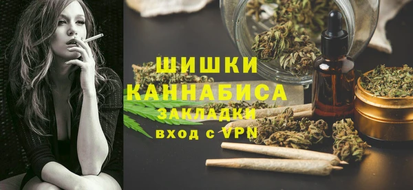 шишки Белокуриха
