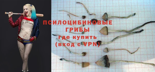 а пвп мука Беломорск