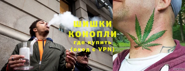 шишки Белокуриха