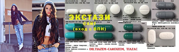 шишки Белокуриха
