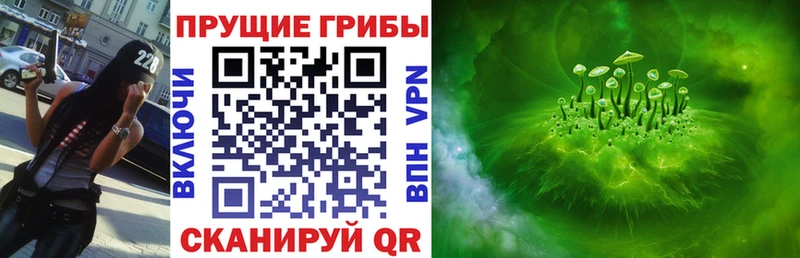 Купить где  Грязовец  Псилоцибиновые грибы мухоморы 