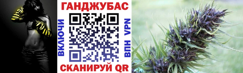 Купить где  Грязовец  Конопля сатива 